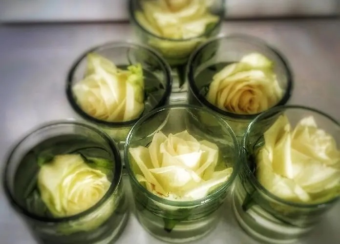 Faergelundens & Kursuscenter 3* Jaegerspris